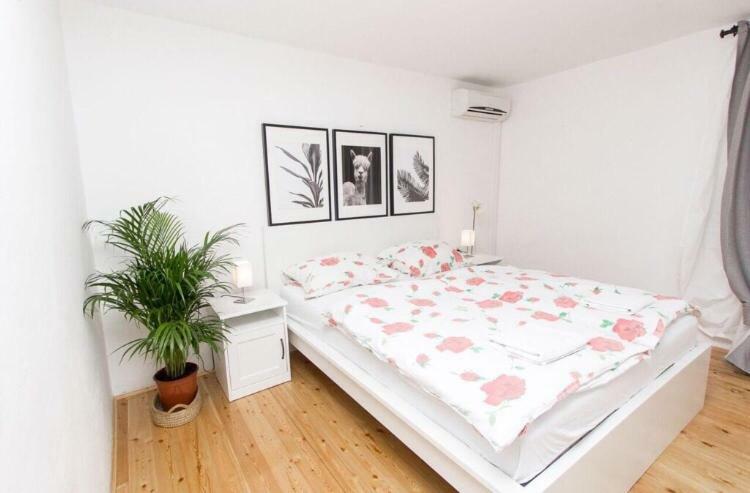 Apartments And Rooms Ille شيبينيك المظهر الخارجي الصورة