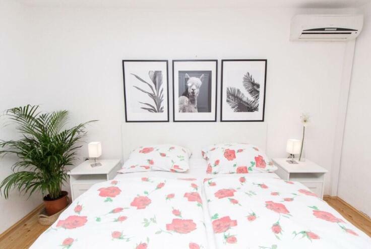 Apartments And Rooms Ille شيبينيك المظهر الخارجي الصورة